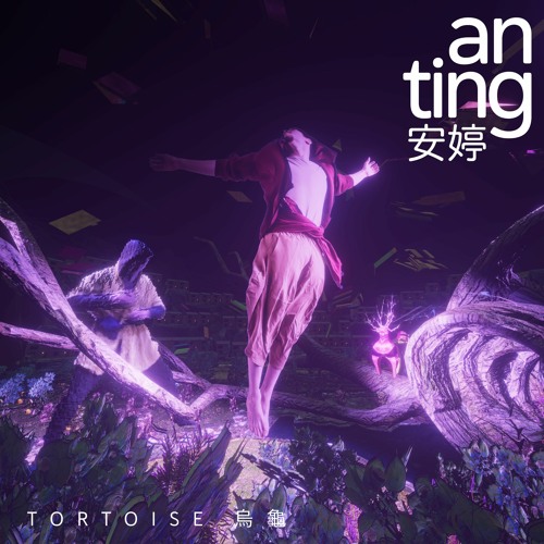 Tortoise 烏龜