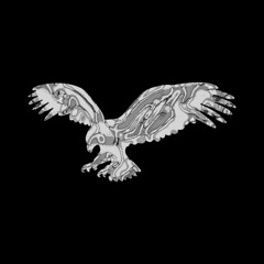 MREYE - BIRD VISION