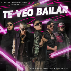 DJ Nelson, Wisin & Yandel & Baby Rasta & Gringo (feat. Brray & Alejandro Armes) - Te Veo Bailar