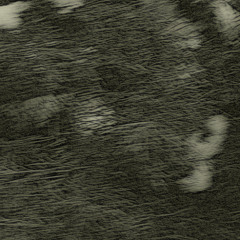 Turning Into Jerky (disquiet0729)