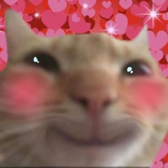 kitty oi