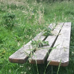 Flood In Franklin Park (after Grant Green)