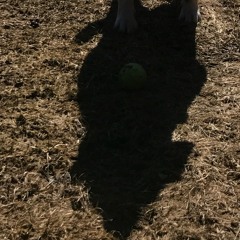 spaced outta my brain - dec 2023