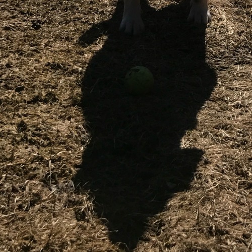 spaced outta my brain - dec 2023