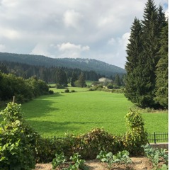 Roana, September 2020, Rain Soft Church Bells Forest