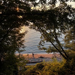 Feelings Vinyl Mix - Fall 2025