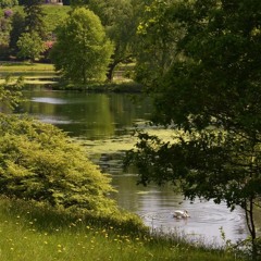 Vera drake- Andrew Dickson