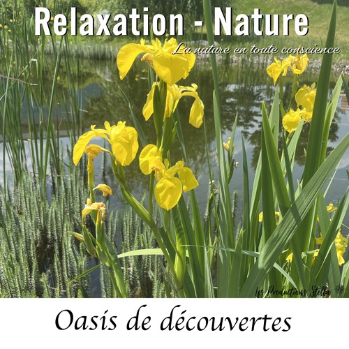 Oasis de découvertes