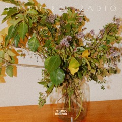 Shepherds Radio #010 : JahKi