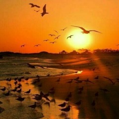 عبد المنعم الخالدي يا حبي الرزين