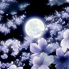 Vegan Donuts (slowed)