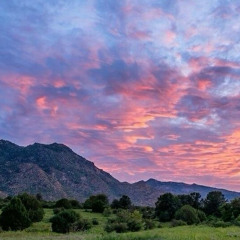 ‎⁨يا فاطر الخلق البديع وكافلًا رزقَ الجميع سحاب جودك هاطل  راشد الحليبة (mp3)⁩.mp3