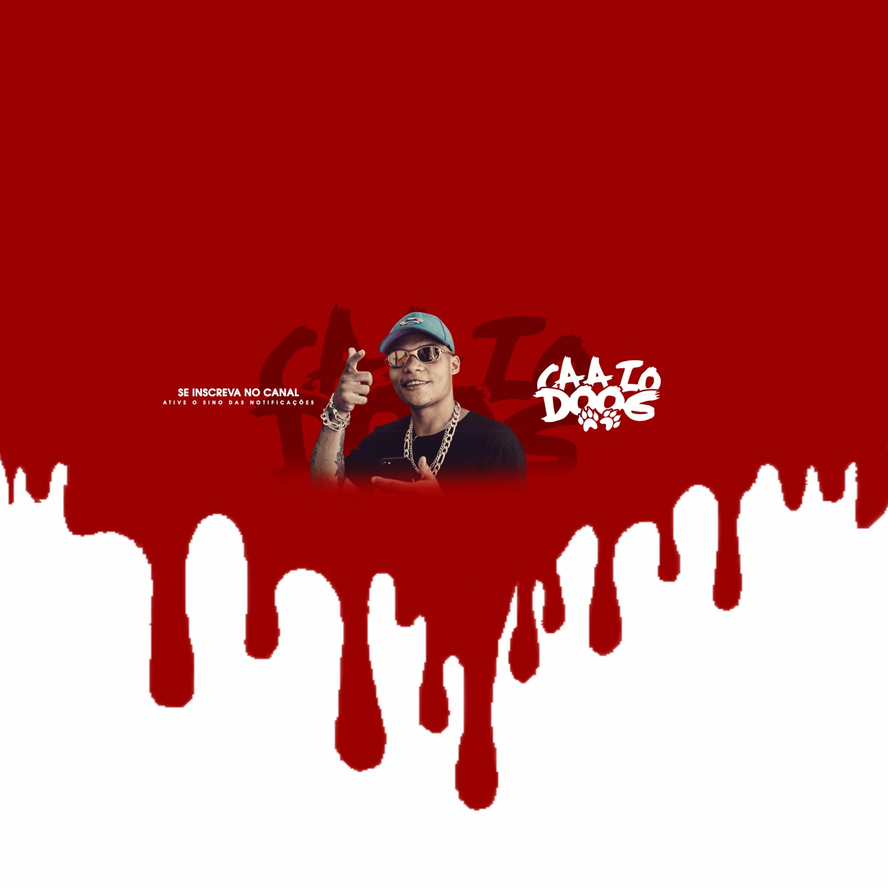 BOTA NA MINHA TCHECA VS EMPURRANDO FIRME A VARA - MC DANNY, MC MN ft. @deejaycaaiodoog episode artwork