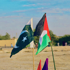 Dil pe zakham khate hain + slowed