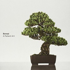 [READ] [PDF EBOOK EPUB KINDLE] Bonsai: A Patient Art by  Susumu Nakamura,Ivan Watters,Terry Ann R. N