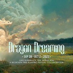 Spiradical - Dragon Dreaming 2023 Application