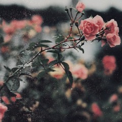 The Other Side ft. Lane Franco (prod. In Bloom)