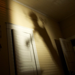 Shadow People   Conley x Luh Sant