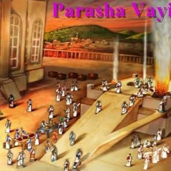 Parasha Vayikra 5782 - Drawing Near to Hashem/Avvicinarsi a Hashem