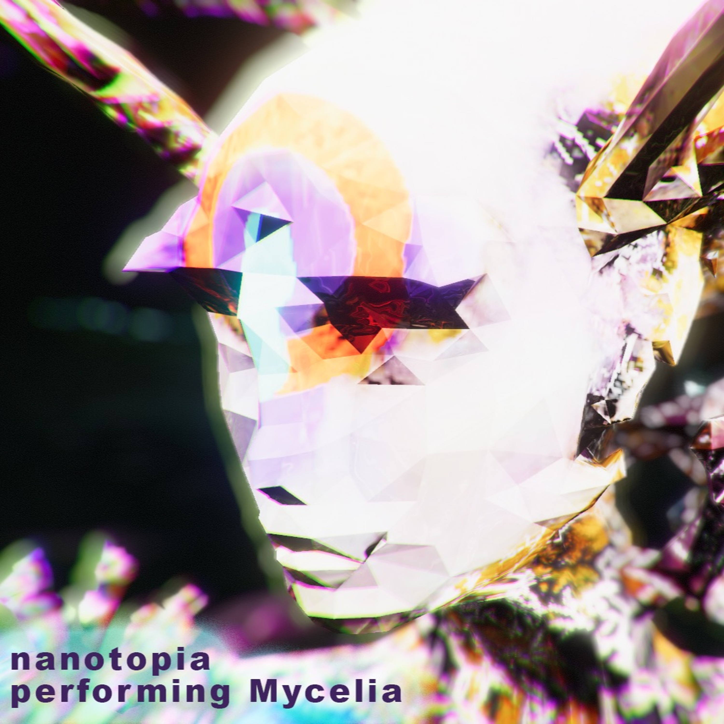 Midnight Mushroom Music