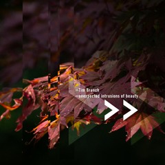 Unexpected Intrusions Of Beauty (FREE)
