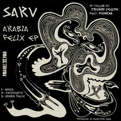 Sarv + Tronik Youth - Arabia Felix EP