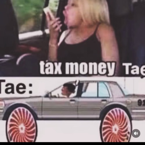 LILOVEMBER 2 2K24 SAMPLES