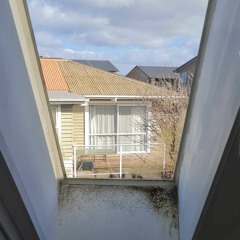 Machine Days .. Fuck Up My Vote