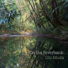 'On the Riverbank: Ulu Muda' - Recorded in Malaysia - Album Sample