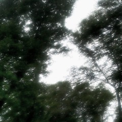 astral isolation - like a wind