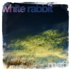 White Rabbit