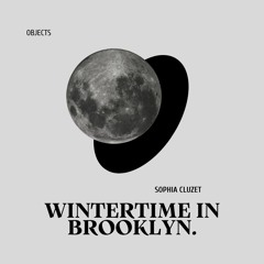 Wintertime In Brooklyn