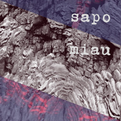 sapomiau - chill out 2025