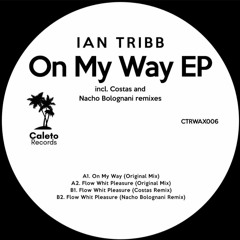 PREMIERE Ian Tribb - Flow With Pleasure [Caleto Records]