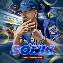 SONIC RpuntoR Rotweiler DEMBOW