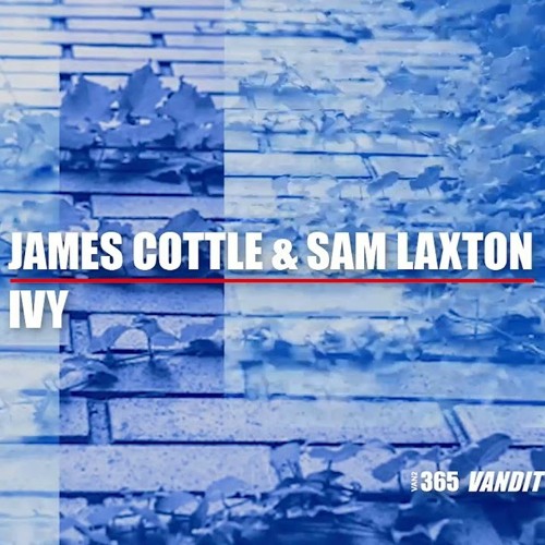 James Cottle & Sam Laxton - Ivy (Extended)