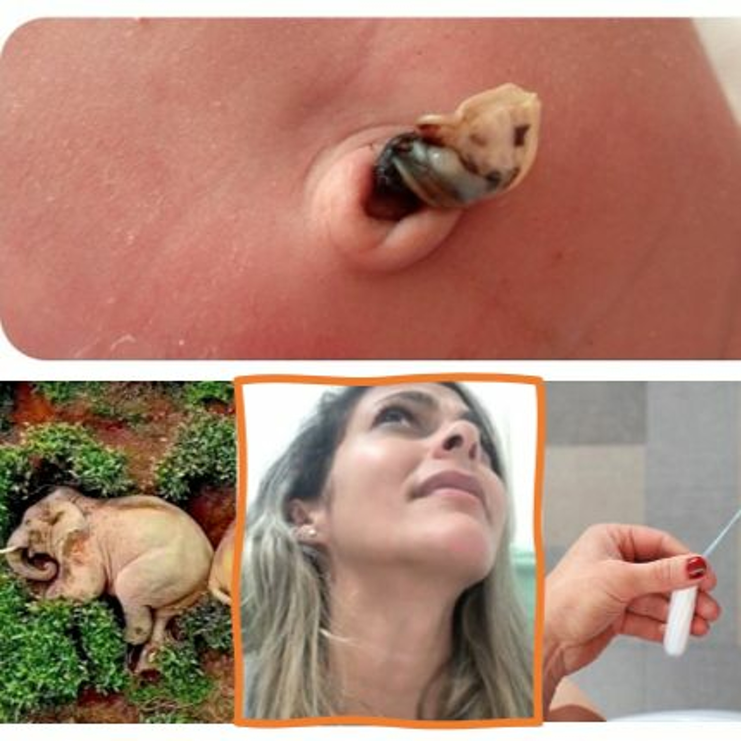 chá com rapadura