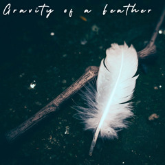 Gravity of a Feather