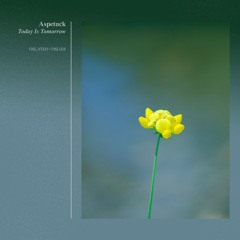 Aspetuck - Today Is Tomorrow [OSL038]