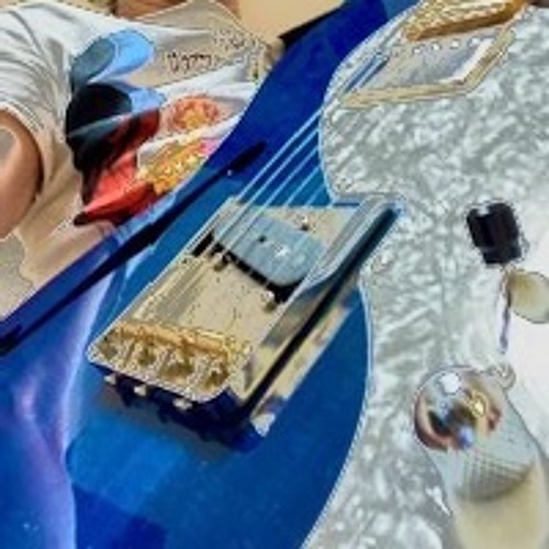 FUJIGEN🎸 Thinline