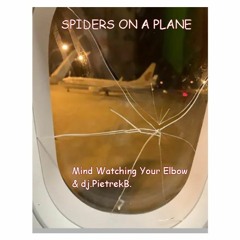 SPIDERS ON A PLANE  -  Mind Watching Your Elbow & dj.PietrekB. (Remix)