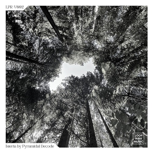 DT:Premiere | Pyramidal Decode - Atto [Loopaina]