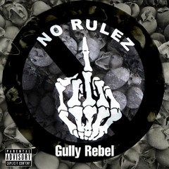 Gully Rebel- No Rulez