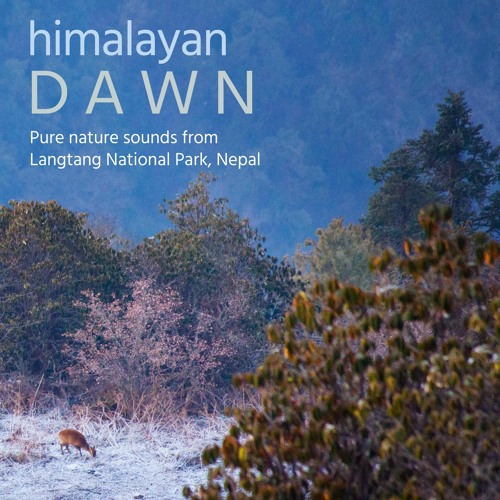 Himalayan Dawn (Langtang National Park, Nepal) - Album Sample