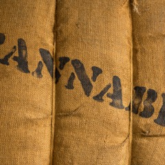 Medropharm gelingt erster Medizinalhasch Export aus Marokko