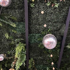 Seems to be a disco