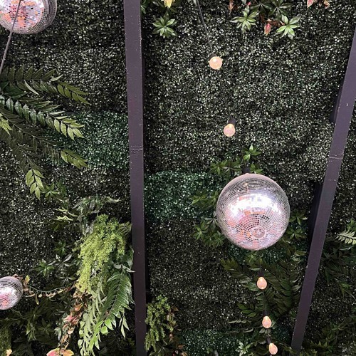 Seems to be a disco