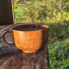 just let it come down over me (cover)