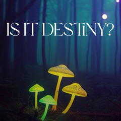 Is It Destiny? (Written by jennandjuice91)
