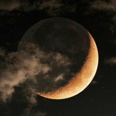 أصالة نصري .. سيرة الحب